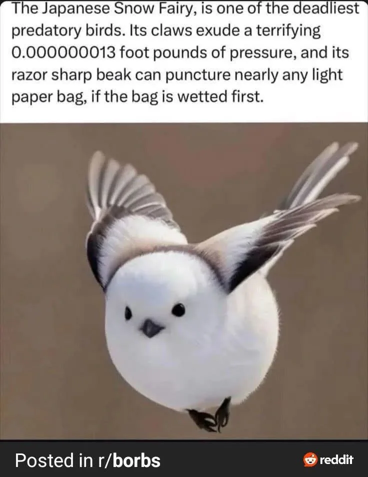 A small, fluffy white bird with black-tipped wings and a tiny beak is shown mid-flight against a plain brown background. The…