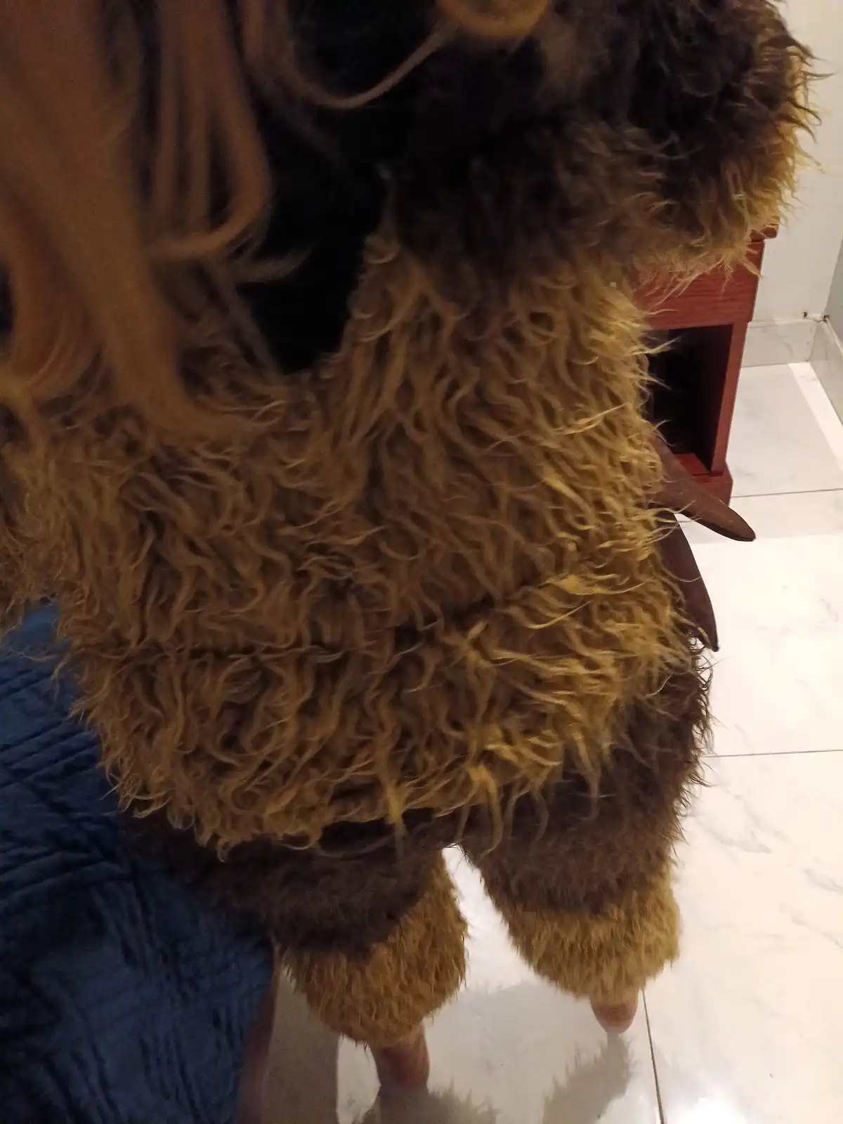 A person with long brown hair and glasses is seen from behind, wearing a thick, curly, brown dog-like coat that covers their…