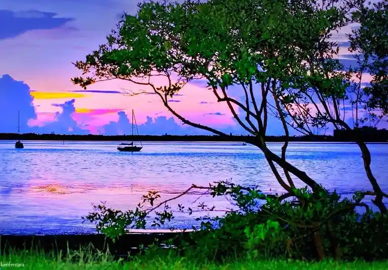 A serene sunset over water with sailboats and a tree in the foreground, overlaid with the text 'i'm not lazy, i'm in…