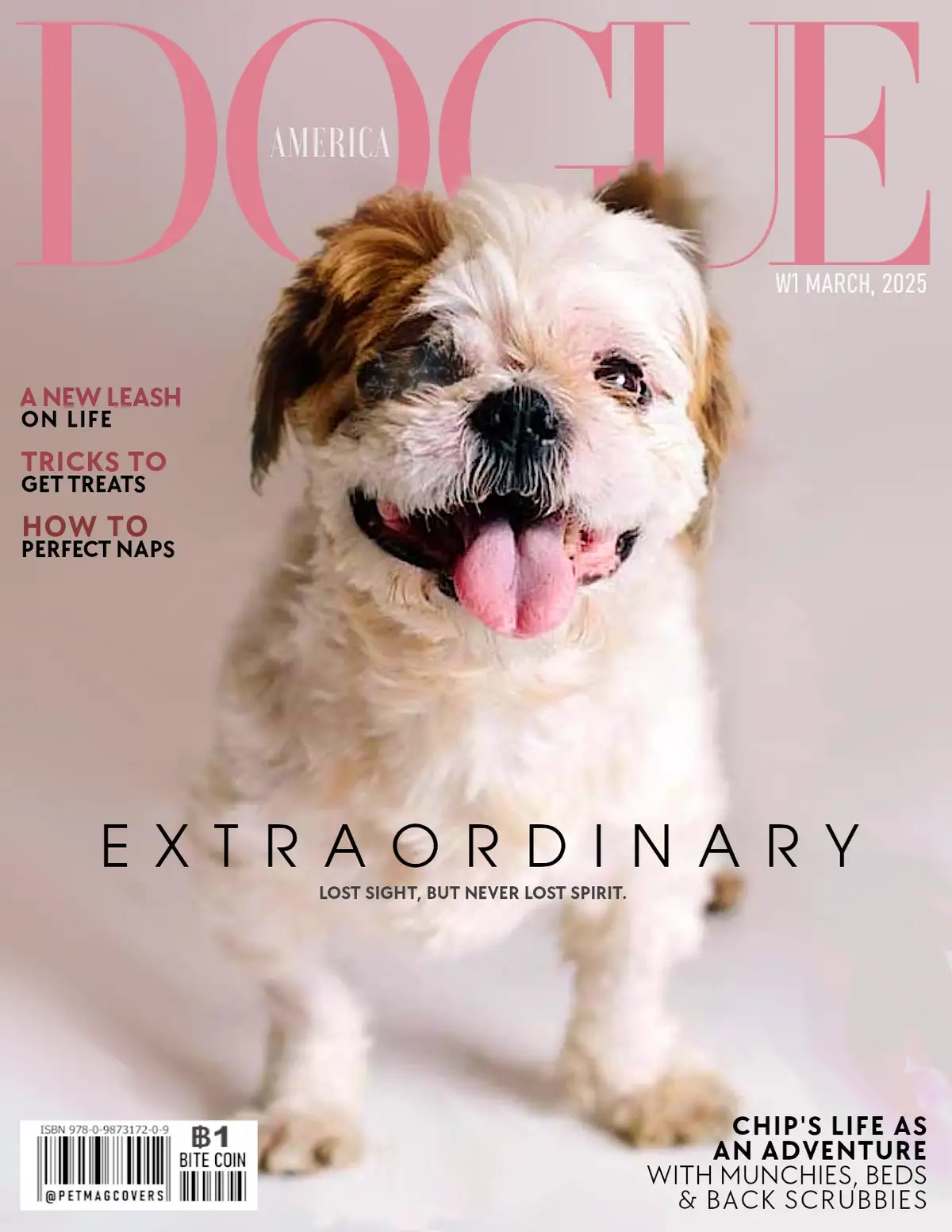 A magazine cover parody of Vogue America, featuring a fluffy white and brown dog with one eye missing, tongue out, and the…