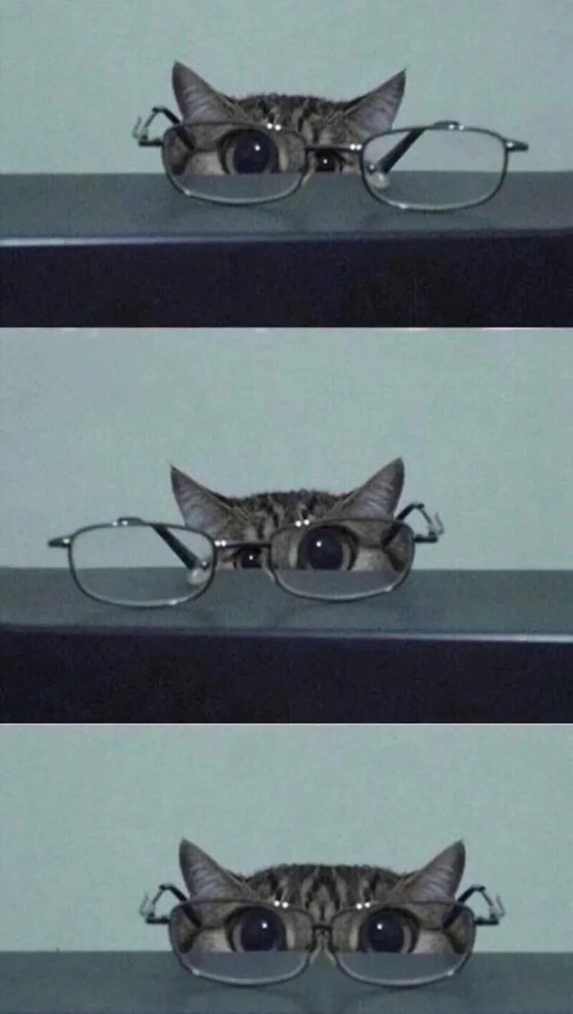 A tabby cat peeks over a ledge wearing glasses in three panels, progressively revealing more of its face as the glasses…