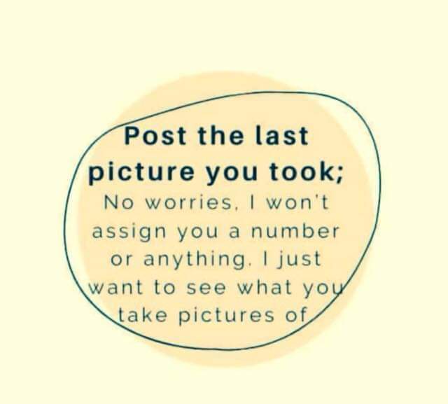 A pale yellow background features a dark teal, hand-drawn oval containing black text that reads: 'Post the last picture you…