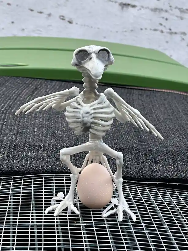 Get ready for Halloween 2024: It's going to be epic!