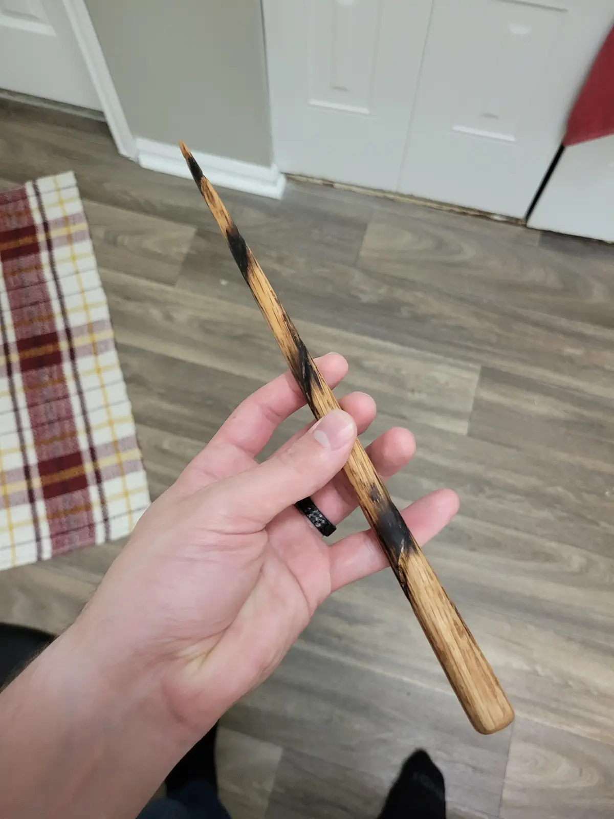 A hand holds a wooden stick with a charred, burnt section near the tip, resembling a burnt-out wand. The background shows a…