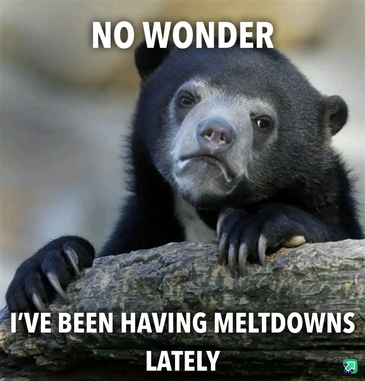 A close-up photo of a sloth bear with a weary, resigned expression, resting its paws on a log. White bold text overlaid at…