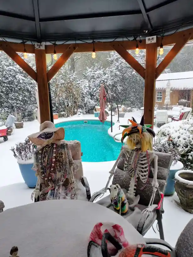 A Rare Alabama Snow Day