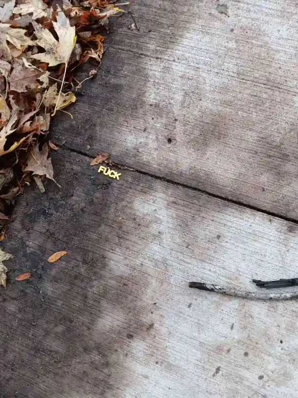 A close-up photo shows the word 'FUCK' spelled out in small, yellow, plastic letters resting in a crack on a weathered…