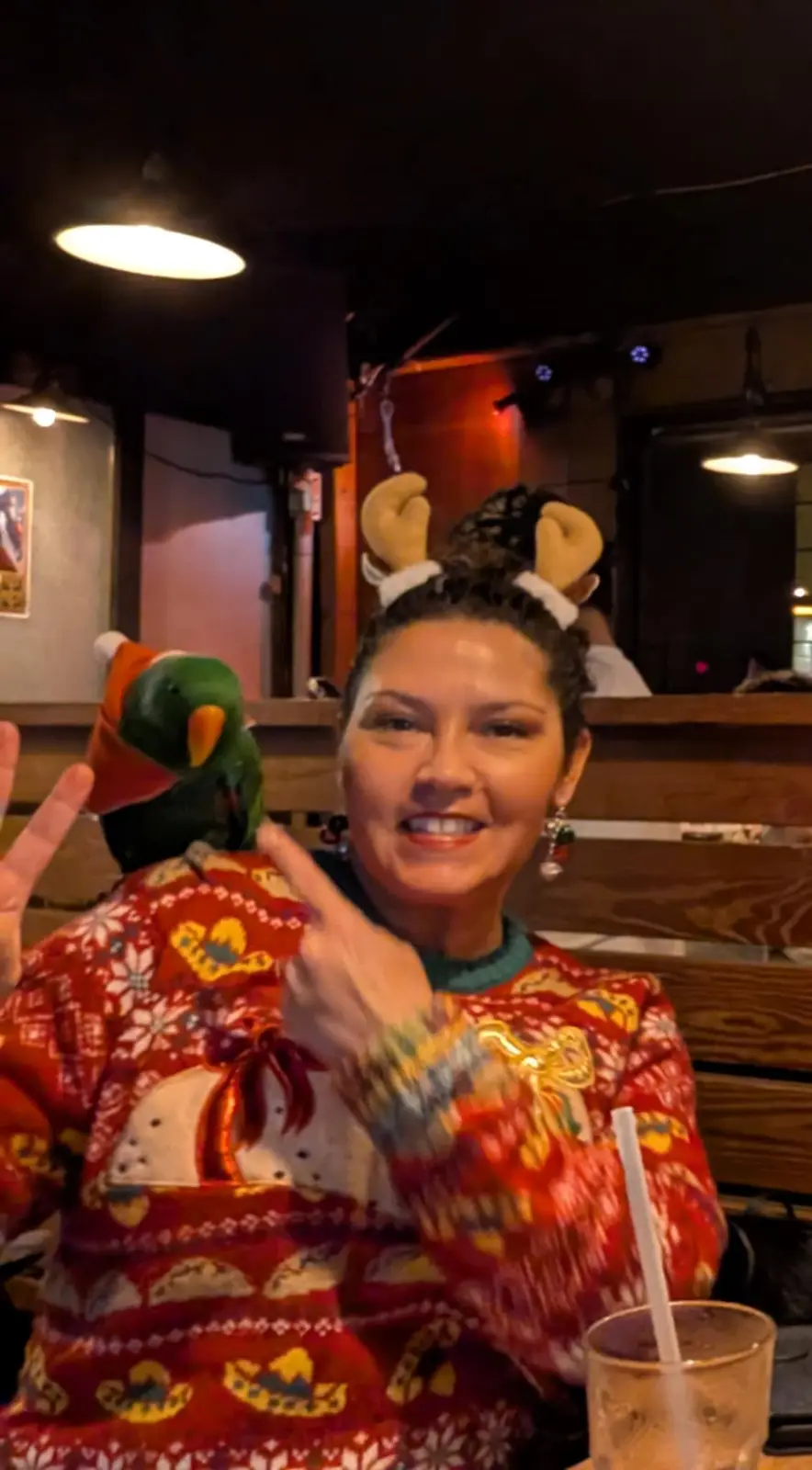 Christmas vibes from Taipei, featuring a delightful random parrot!