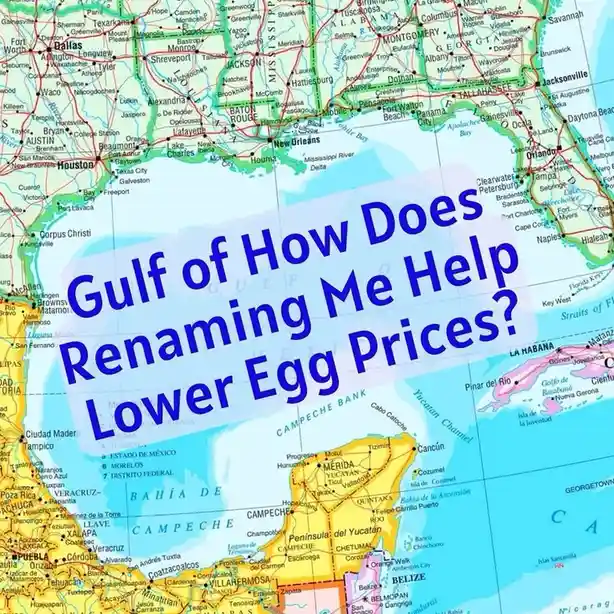 A map of the Gulf of Mexico region with overlaid blue text reading 'Gulf of How Does Renaming Me Help Lower Egg Prices?'…