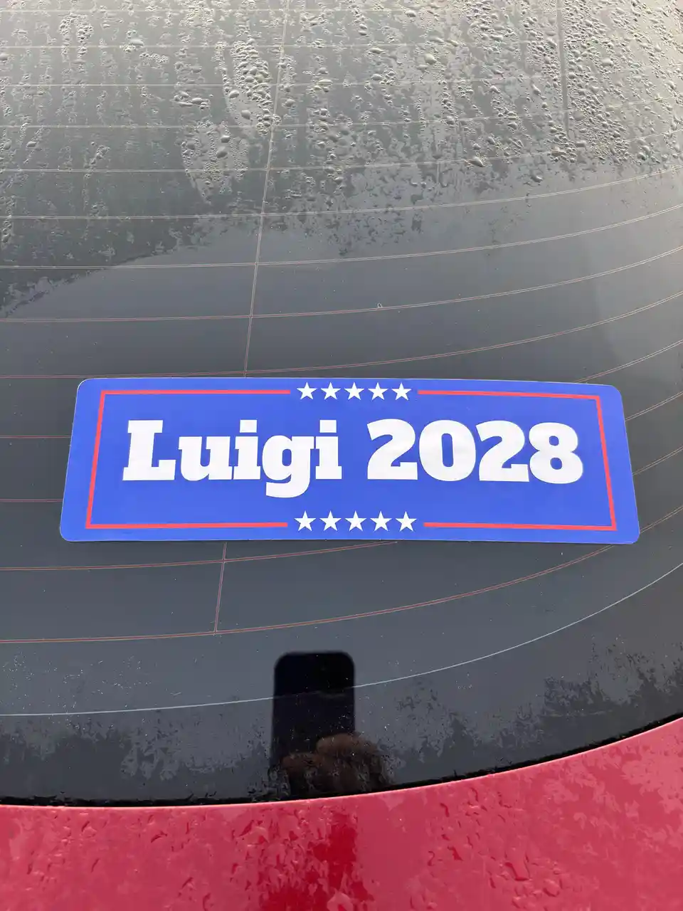 LUIGI for President 2028 - The Campaign Begins!