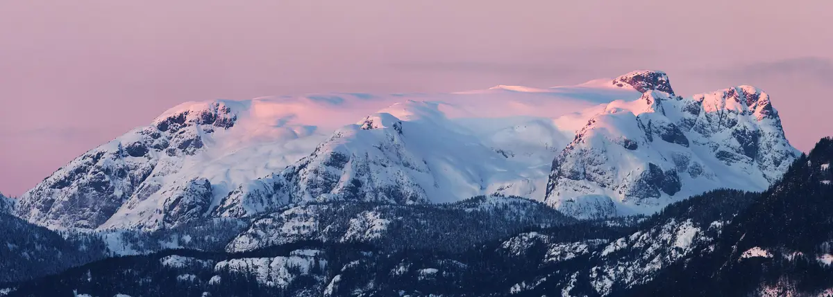 A panoramic photograph of snow-covered mountains bathed in pink and purple twilight light, with dark evergreen forests in…