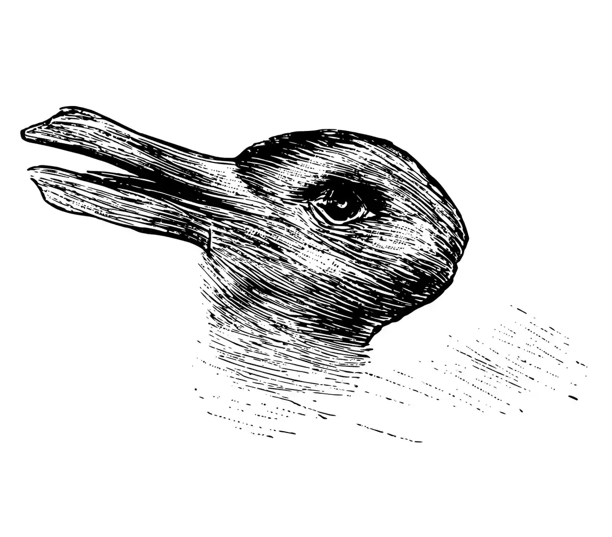 Is It a Duck or a Rabbit? The Ultimate Visual Dilemma