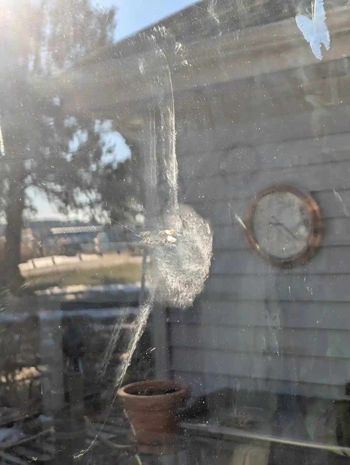 A dusty, grimy window shows a large, messy spiderweb with a spider in the center, obscuring the view of a house exterior…