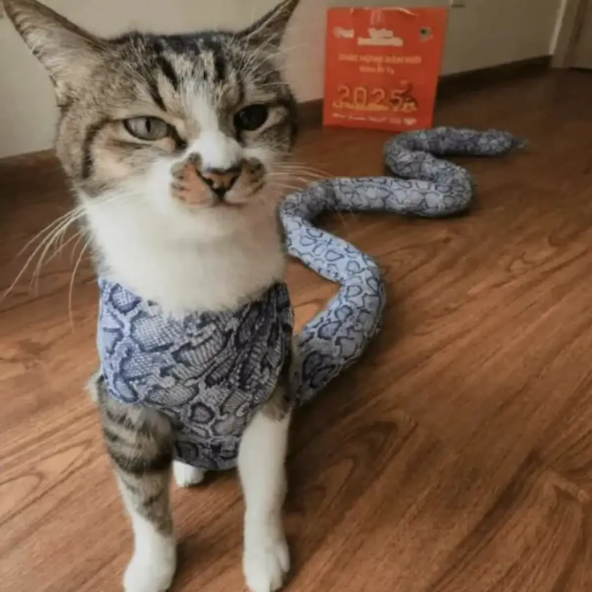A tabby cat with white markings sits on a wooden floor wearing a blue and gray snake-patterned costume that extends from its…