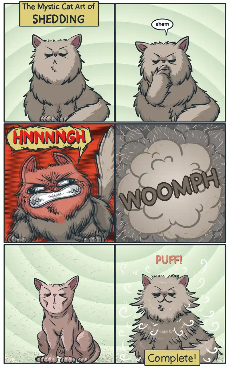 A six-panel comic strip depicts a fluffy cat performing a dramatic, multi-step shedding ritual. It begins with the cat…