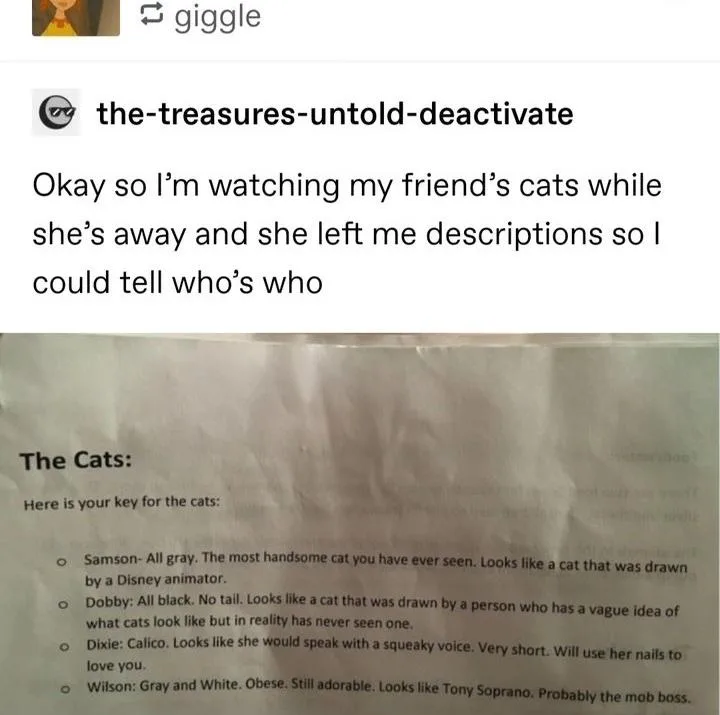 A screenshot of a social media post showing a handwritten note titled 'The Cats:' with a key describing four cats by name…