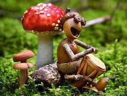 Nature's Oddities: Acorns on Mushrooms!