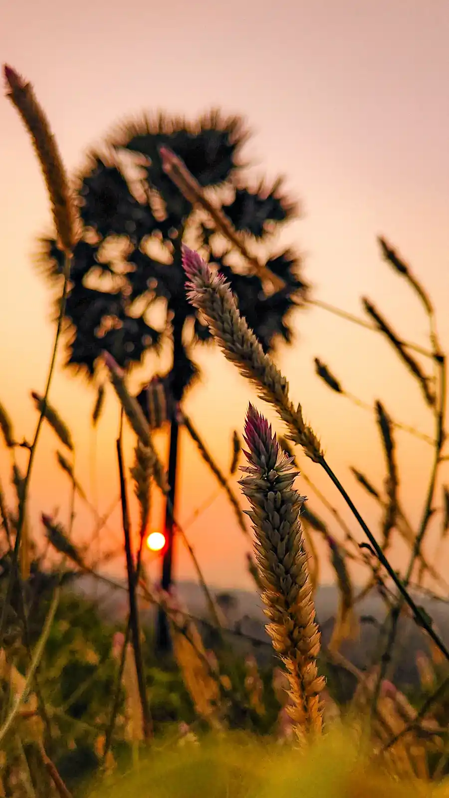 A Peaceful Sunset to Soothe the Soul