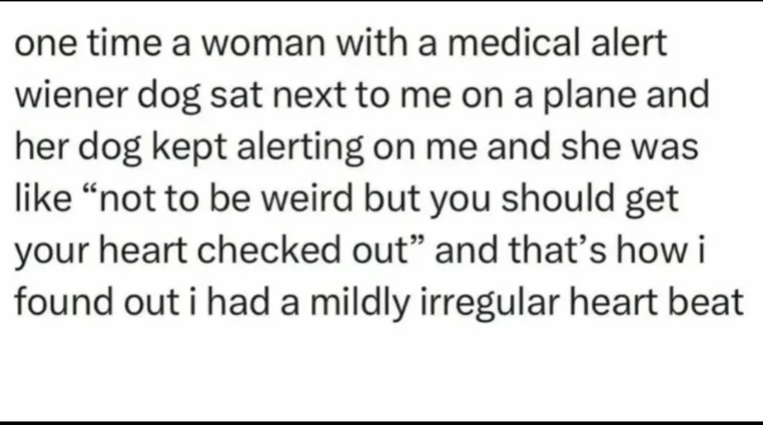 The image displays a plain white background with black text telling a story about a woman with a medical alert wiener dog on…