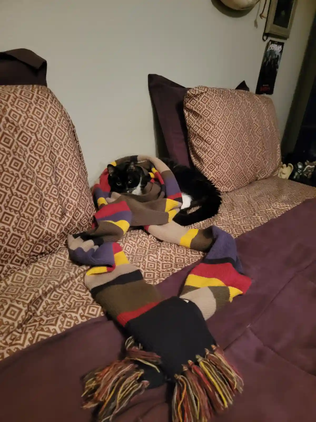 A black and white cat is curled up on a patterned couch, snugly wrapped in a colorful striped scarf with tassels. The scarf…