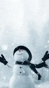 Winter Wonderland: It's snowing!