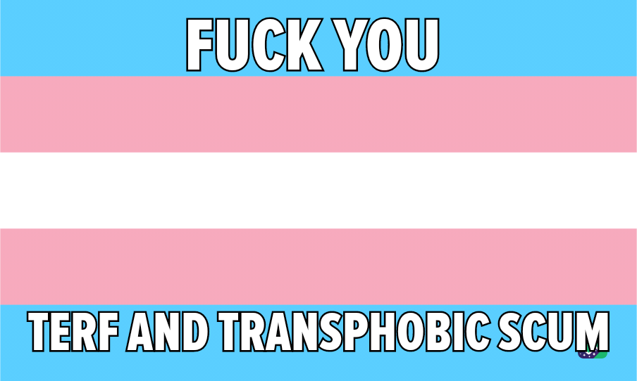 The image displays the trans flag with horizontal stripes of light blue, pink, and white. Overlaid text in bold white font…