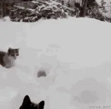 A black cat in a snowy yard slowly walks away from a snowman, then disappears into the snow, leaving only footprints. The…