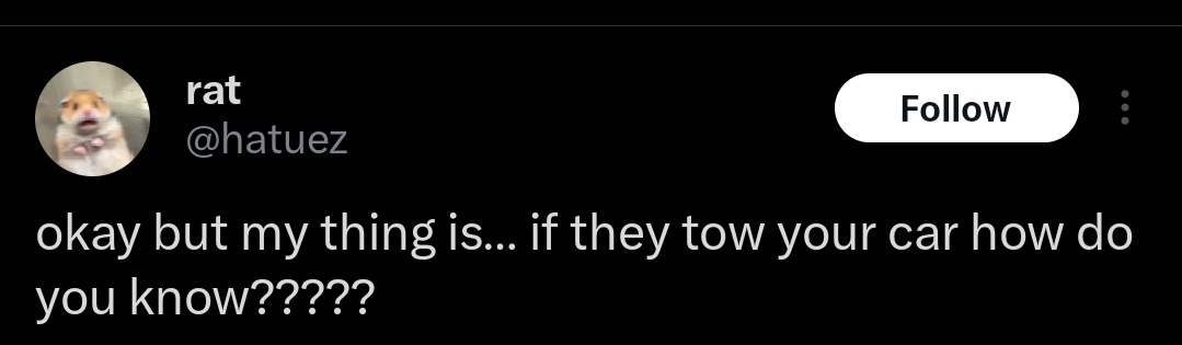 A screenshot of a tweet from a user named 'rat' with a hamster profile picture, showing the text 'okay but my thing is... if…