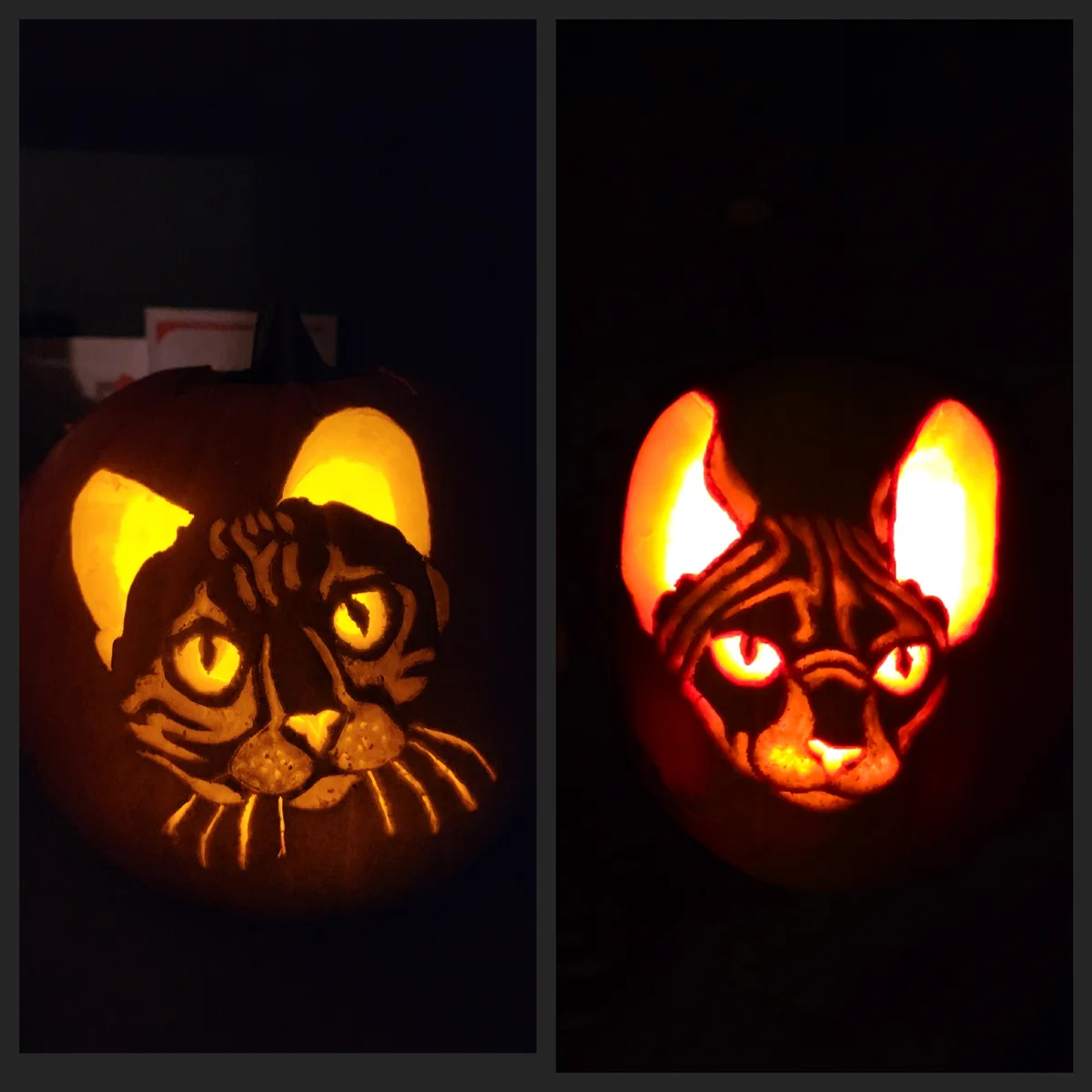 Two side-by-side images show a Halloween pumpkin carved with a cat face, lit from within. The left image shows the cat with…