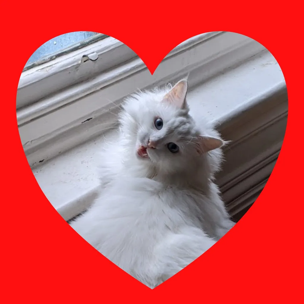 Valentine's Day is Just Around the Corner!