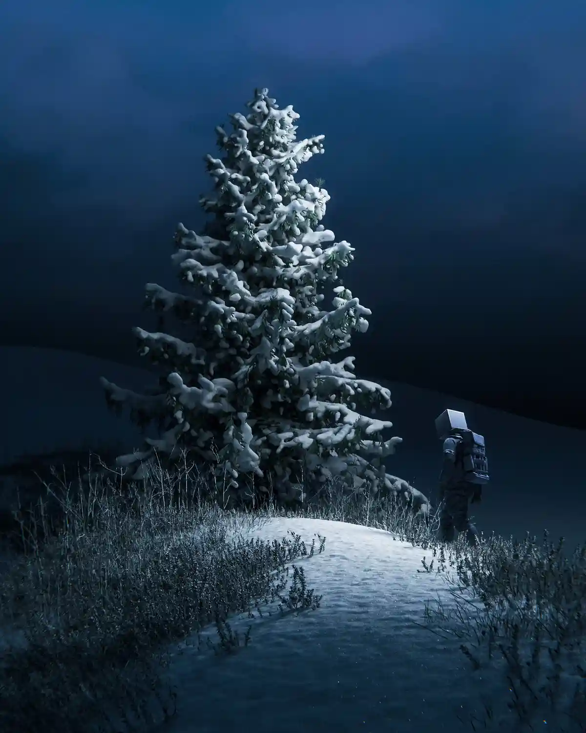 Winter Hiking Adventures, Captured by Huleeb.