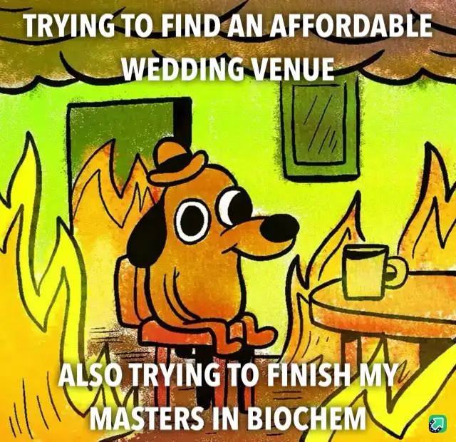 A cartoon dog wearing a hat sits calmly in a room engulfed in flames, with a mug on a table beside it. The text at the top…