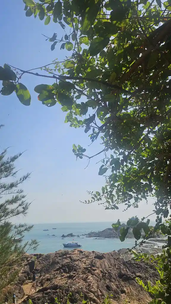 A scenic photo taken from a rocky cliffside, framed by green tree branches overhead, looking out over a calm blue ocean with…