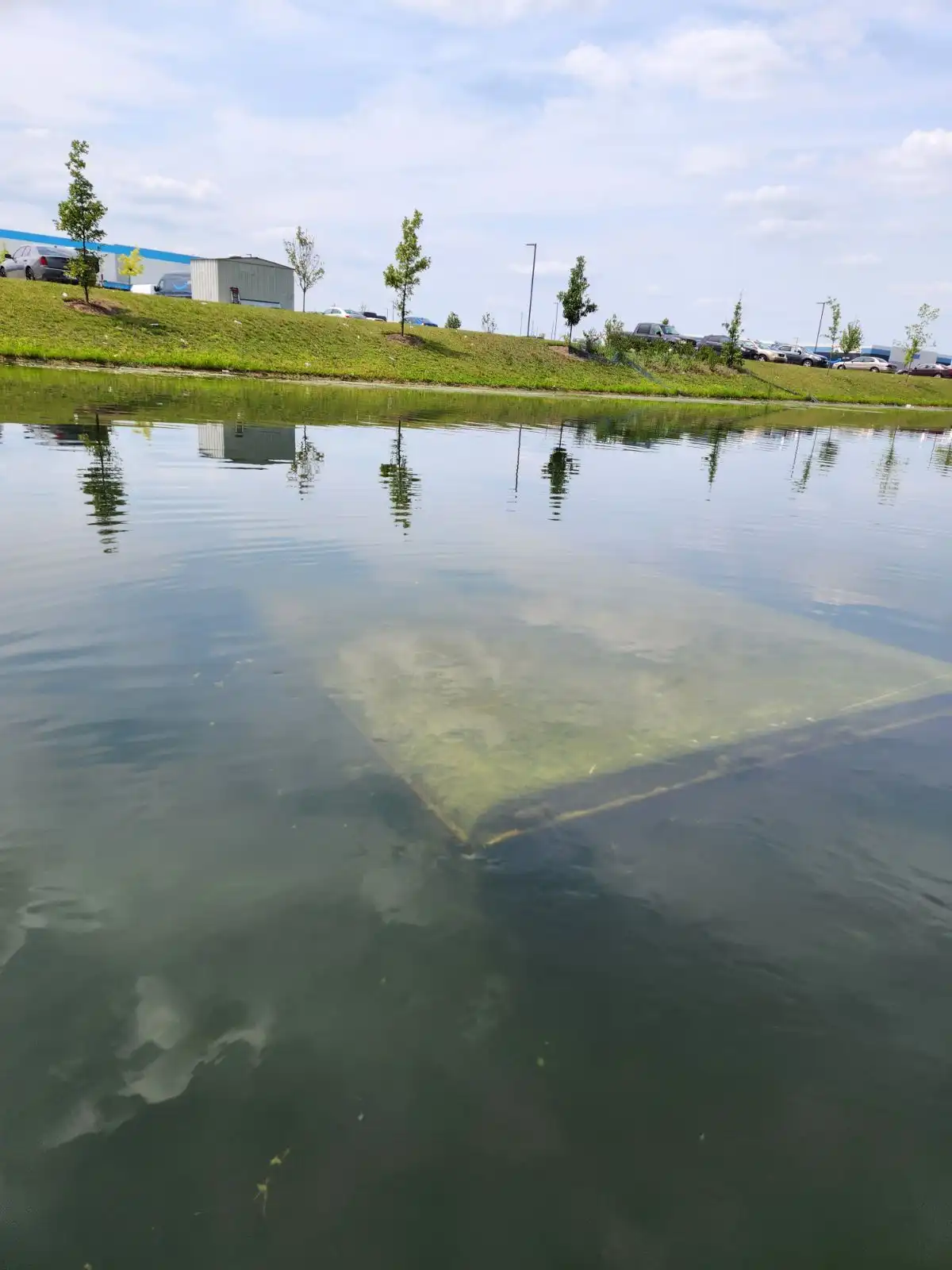 A calm pond with a large, rectangular, light-colored rug partially submerged in the water, visible through the clear…