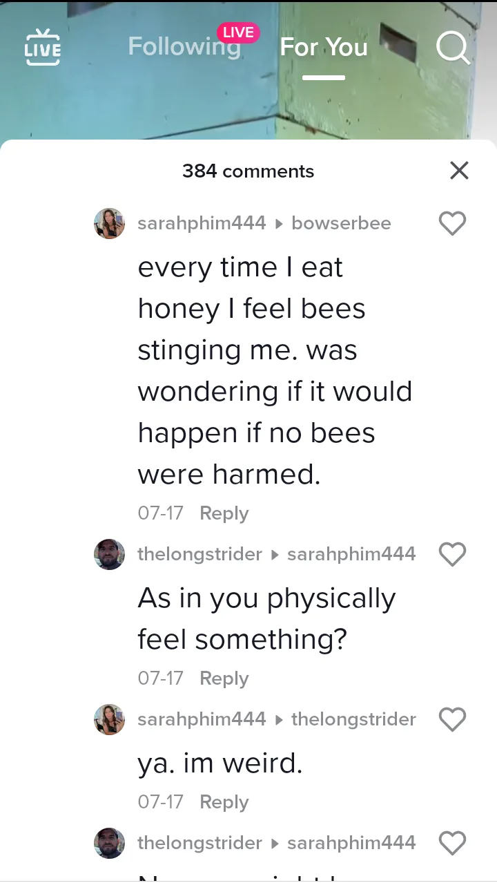 A screenshot of a TikTok comment section shows a user named sarahphim444 saying they feel bees stinging them when eating…