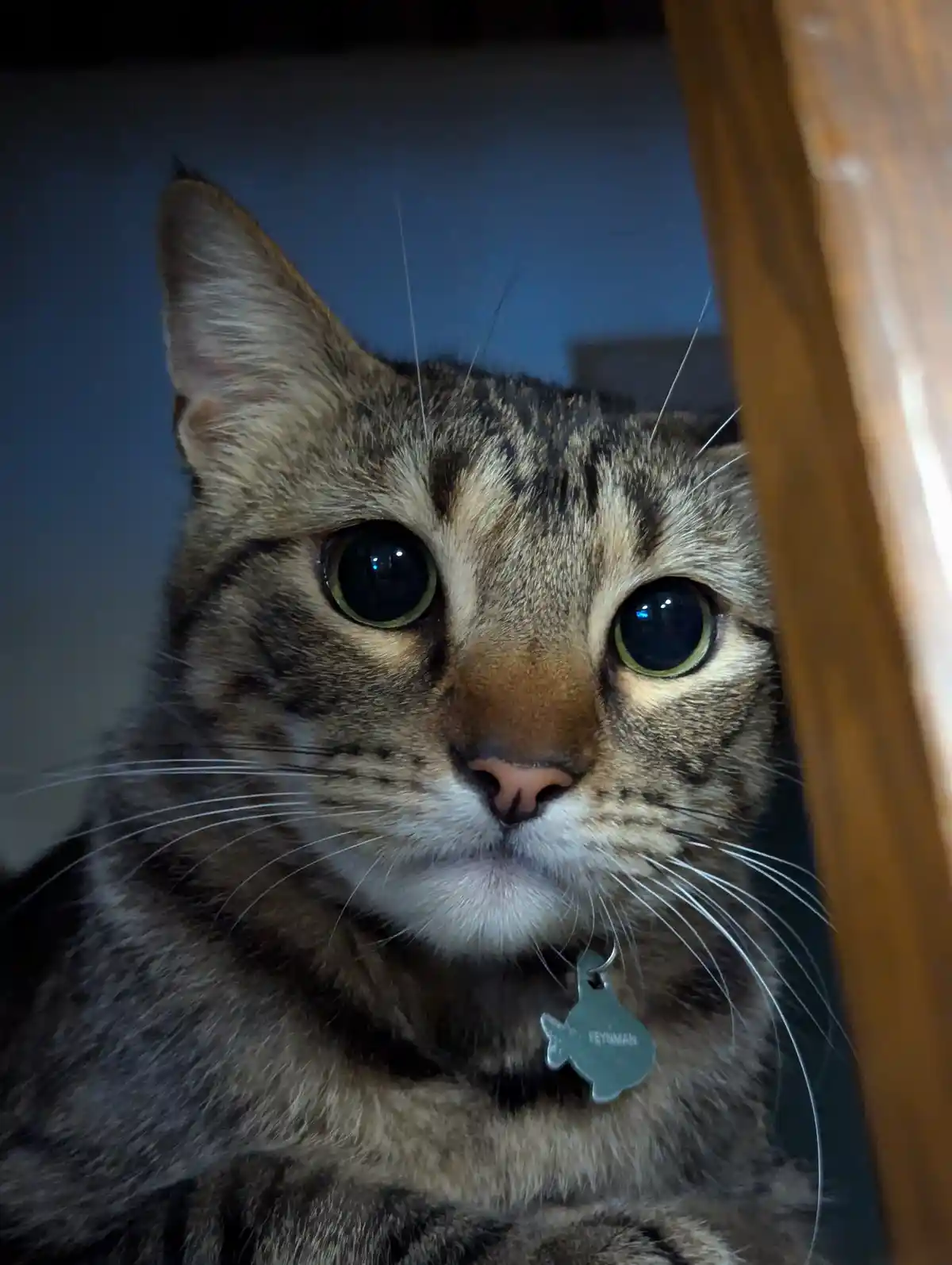 Just Moments Before the Unexpected Attack!