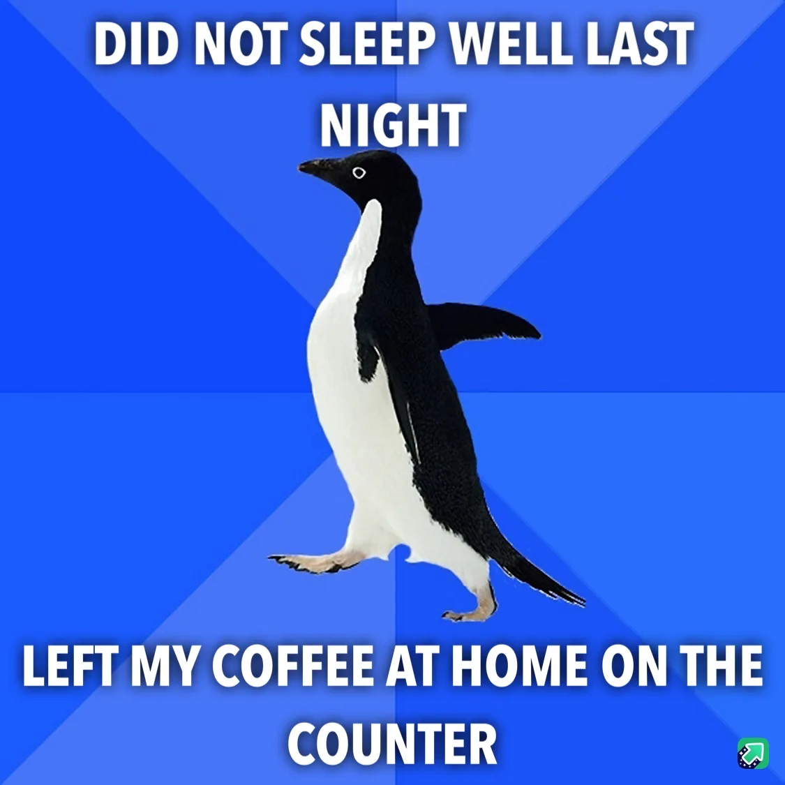 A black-and-white penguin stands against a blue background with diagonal stripes. White text at the top reads 'DID NOT SLEEP…