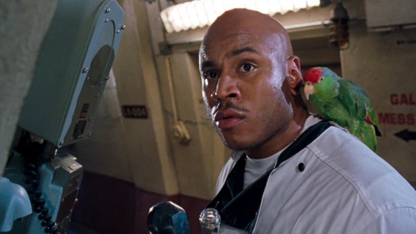 a bald man in a white uniform with a green parrot perched on his shoulder looks shocked and confused while standing next to…