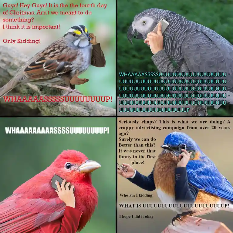 The iconic Four Calling Birds are back!