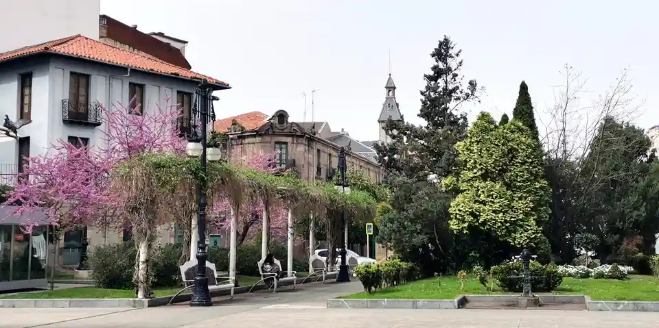 A serene public square with blooming pink trees, benches, and historic buildings under an overcast sky. A person sits on a…