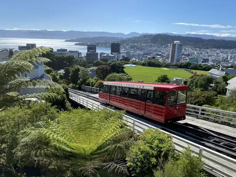 A red Wellington Cable Car travels along a track through lush green ferns and trees, overlooking a sprawling cityscape with…