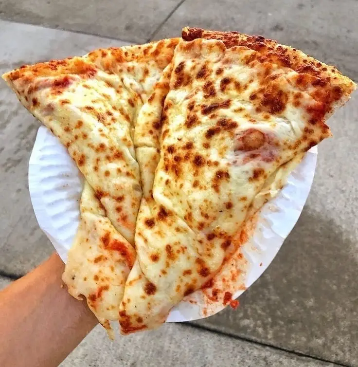 A hand holds a white paper plate with two large, folded slices of cheese pizza, their crusts slightly charred and cheese…