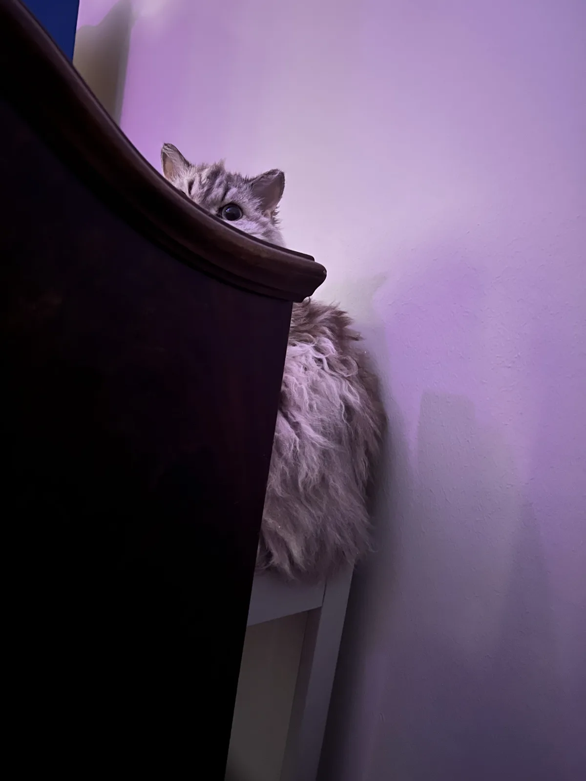 Beware the Evil Eye