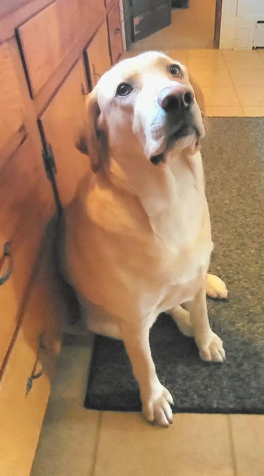 So... what do you have for me?