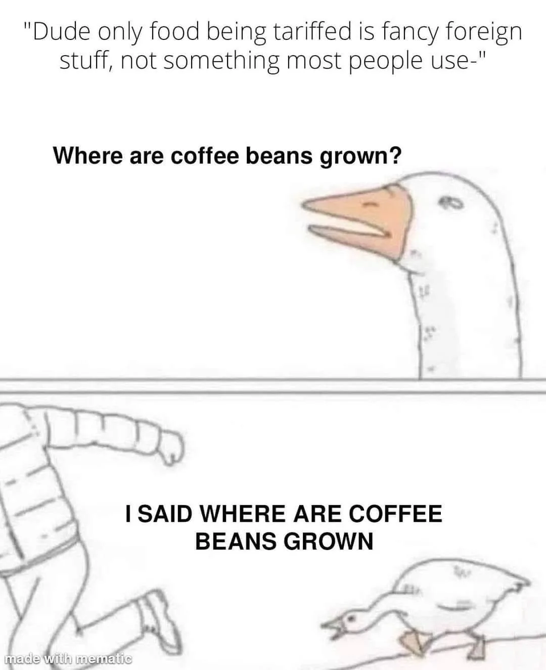 The image shows a two-panel meme. The top panel features a cartoon goose asking, "Where are coffee beans grown?" while a…