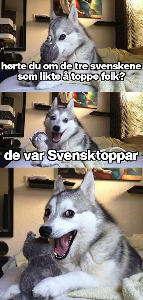 A three-panel meme featuring a husky dog in a bedroom, initially looking confused, then smiling while holding a stuffed…