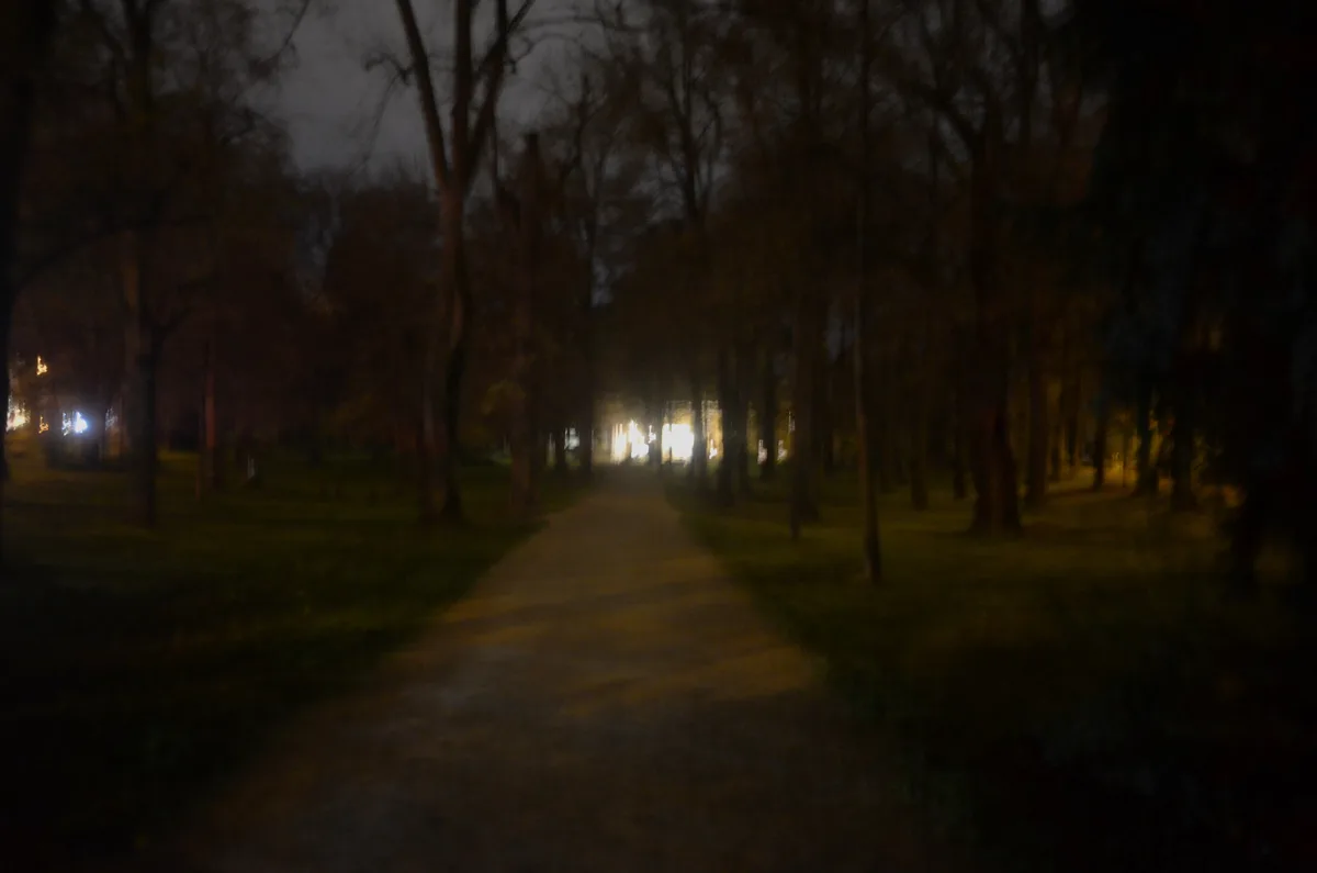 A blurry, low-light nighttime photo of a path winding through a wooded area, flanked by bare trees. Distant lights glow at…