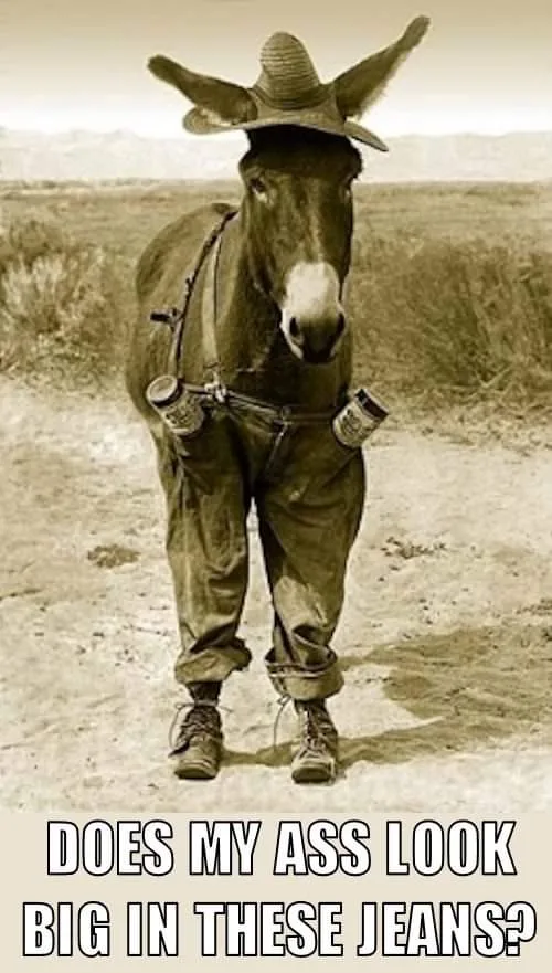 A donkey wearing a cowboy hat, full-length denim jeans, and hiking boots stands in a desert landscape. Two cans are strapped…