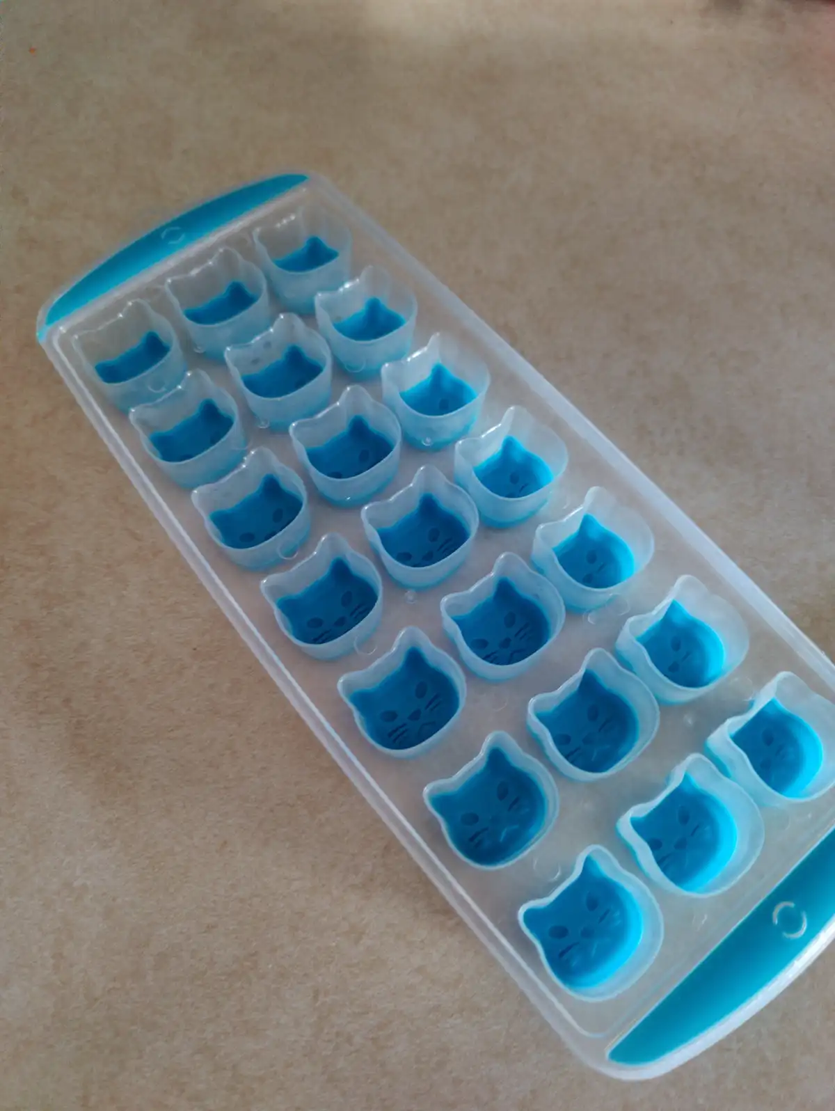 Sometimes we treat Loki to ice cubes in his fresh water - he loves it!