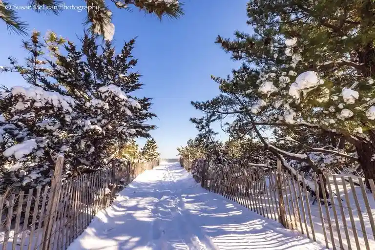 A snow-covered beach path flanked by wooden fences and snow-laden pine trees under a clear blue sky. The overlaid text…